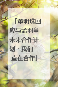 董明珠回应与孟羽童未来合作计划：我们一直在合作